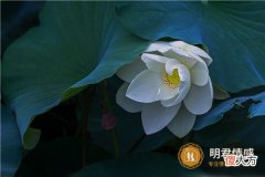 感情世界|分手后复合的策略,挽回恋人其实并不难!