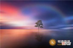 【情感】付出太多变成理所当然的句子