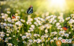 【情感】端午节祝福语简短一句话发朋友圈