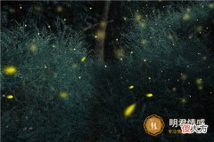 感情世界|让对方看到心疼的句子,勾起了伤心的往事!