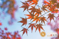 情感|教师节祝福语2022最新,送给老师的贺卡文字简短