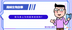 趣味生物科普知识：斑马身上为何是条纹状的？