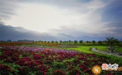 情感|气场和眼神怎么练,先掌握这几个技巧