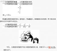 数学故事：麻团的价格