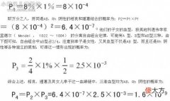 趣味数学：对电影《血疑》的质疑