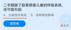 二手烟除了容易损伤儿童的呼吸系统还可能引起| 二手烟除了容易损伤儿童的呼吸系统还可能引