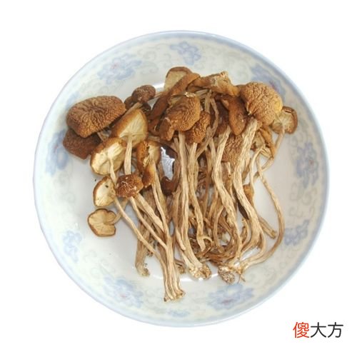 茶树菇