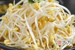 豆芽是蔬菜类吗