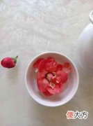 与世无争的人（形容与世无争）