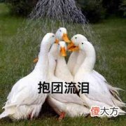 分手后又找了对象还能复合吗（分手后复合结婚）