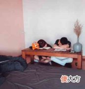 天蝎座女生的性格弱点和优点（天蝎座占有欲强吗）