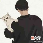 逗猫的游戏（对比效应）